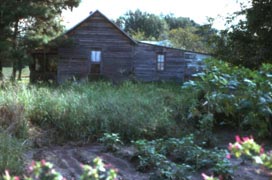 Old Creole house, Iota