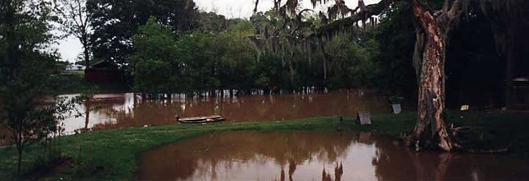 Mulate Wiltz' s pond and frontage, Bayou Teche