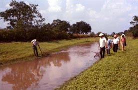 Fishing party with Marc Savoy, Acadia Parish